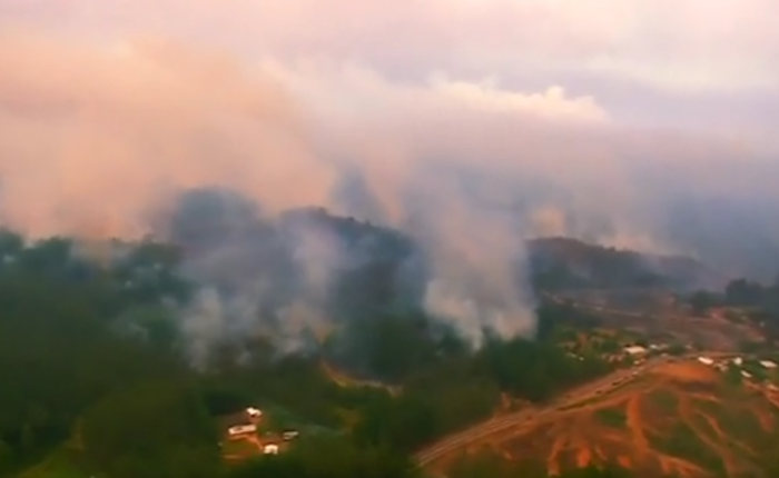 Chile: Internationaler Kampf gegen gewaltige Waldbrände – VIDEO
